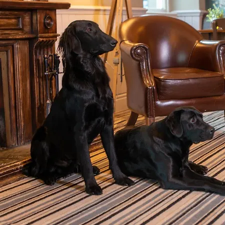 מלון The Gateway 4*