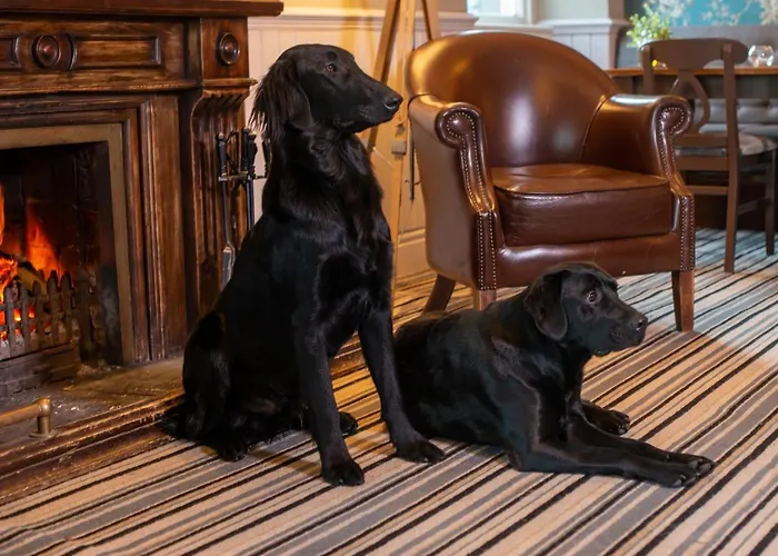 Hotel The Gateway 4*